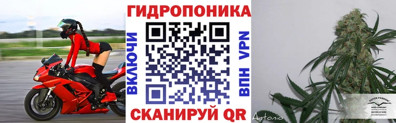 Канабис MAZAR  MEGA ССЫЛКА  Норильск 